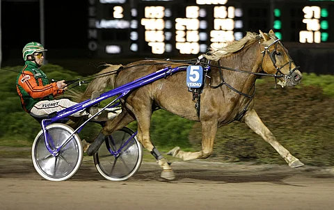 Polara ei ole voittanut yli kahteen vuoteen. Torstaina Antti Tupamäen ruunalla on hyvä mahdollisuus olla maalilinjalla ensimmäisenä.