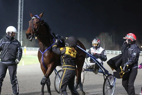 Callela Ladyboss voitti lähtönsä karsintojen kovimmalla tuloksella 13,8a / 2100 metriä. (arkistokuva)