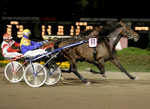 Get Going Grace on onnistunut Vermossa ennenkin. Kuvassa sitä ajaa Kari Venäläinen, illalla oma valmentaja Ari Hartikainen.