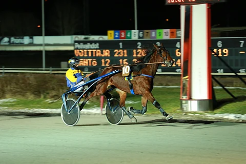Teemu Toroskan valmentama Grainfield Olivia saa Teivossa taakseen Seppo Markkulan.