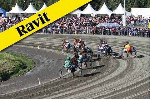 Kuvituskuva: Hevosurheilun arkisto