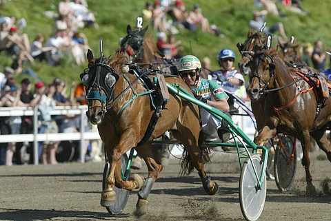 V.H. Suvittaren tie kolmanteen ravikuningattaren titteliin alkoi avausmatkan voitolla Rovaniemellä vuonna 2004. Ari Moilanen ajoi kaikki tamman seppeleet. Kuva Juhani Länsiluoto.