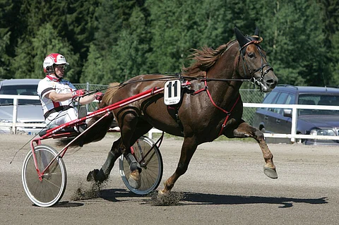 Tapio Perttunen ja Saran Salama vuonna 2006.