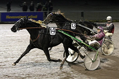 Global Kid oli vahvin Vermossa marraskuun Voimaliigassakin. Lähimmäksi pääsi silloin Blue Porschella.