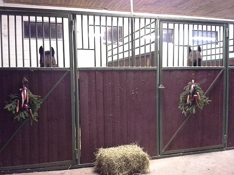 Sundsvikin tallissa karsinoiden ovissa roikkuu tänä jouluna kauniit havukoristeet.