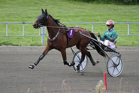 Elliot Web pääsee kilpailemaan Jokimaalla kengittä, mikä on sille iso etu.