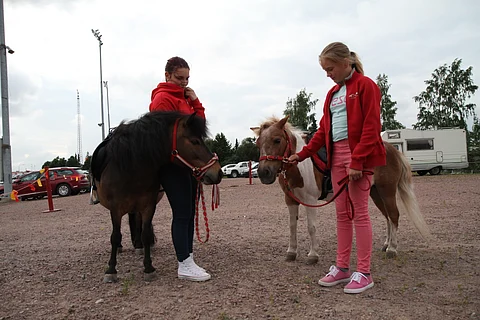 Porin ravirata nousi maakuntaratavertailun korkeimpaan kokonaiskeskiarvoon. Kuvassa radan ponit, jotka viihdyttävät lapsia ravitapahtumissa. Kuva: Riikka Aaltonen