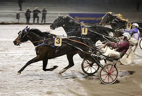 Kleine Maria ja Veli-Pekka Toivanen olivat yksi Vermon keskiviikon suosikki- ja keulavoittajista.