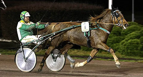 Teemu Okkolinin luotsaama Terhon Tuuri pystyy onnistuessaan voittamaan toisen Toto4-kohteen.