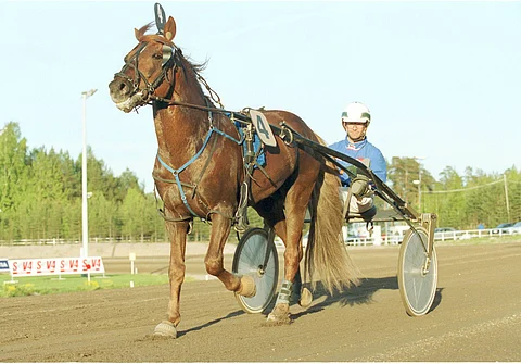 El Vihuri vuonna 2002.