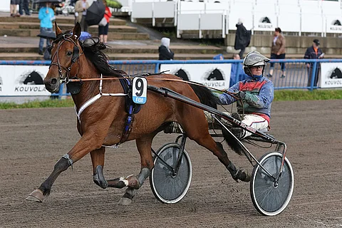 Lyckliga Lotta olisi todellinen potintekijä Teivon Toto5-avauskohteessa.