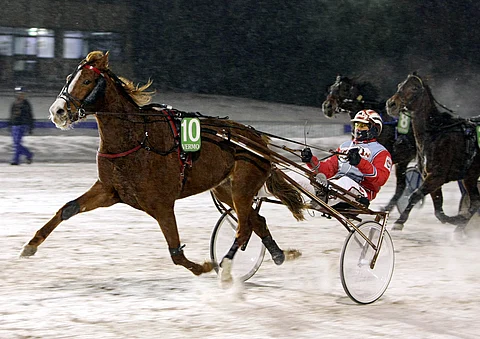 Celebration Song voitti pitelemällä ja aloitti isänsä Le Monteilin juhlat Vermossa.