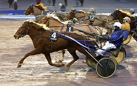 Fannikka kurottaa aina rehdisti, mutta voitot ovat viime aikoina kiertäneet.