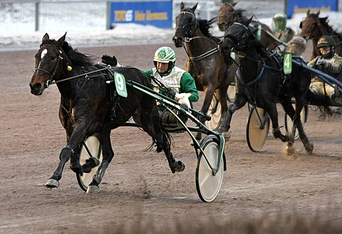 Kiitos tyttö! Timo Leivo muistaa kiittää sankariaan kotikasvatti Jaqueline Mon Amia menestyksen sattuessa. Siihen oli aikaa, kun muut jäivät loppusuoralla taustalle.