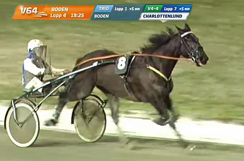 Edward Ale saapui pitkältä kilpailutauoltaan hienossa kunnossa radalle Kööpenhaminassa perjantaina.