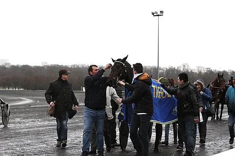 Trebol on päivätyönsä tehnyt ja on valmis ottamaan vastaan ansaitut huomionosoitukset. Kuva: