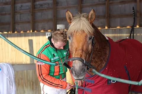 Antti Tupamäki ja Polara Äimäraution valjastuskatoksilla voiton jälkeen.