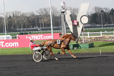 Villikunkku ja Harri Koivunen.