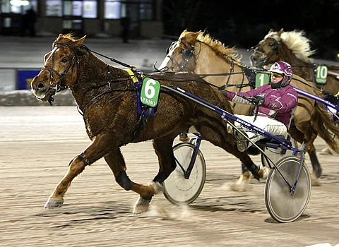 Antti Teivaisen ohjastama Iinan Maestro (kuvassa) on kerännyt toisessa kohteessa jo liikaa peliä. Ruuna varmistetaan ideasysteemissä tallikaveri Pireuksella.