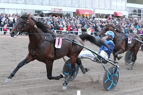 Jontte Boy ja Tuomas Korvenoja kriteriumfinaalissa 2014.