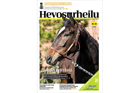 Voittamaton kimppahevonen suuttuu rajoituksista
