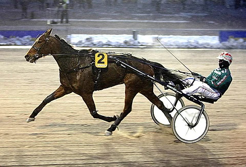 Dreambow on maistuva ideavarma sateiseen Toto65-iltaan.