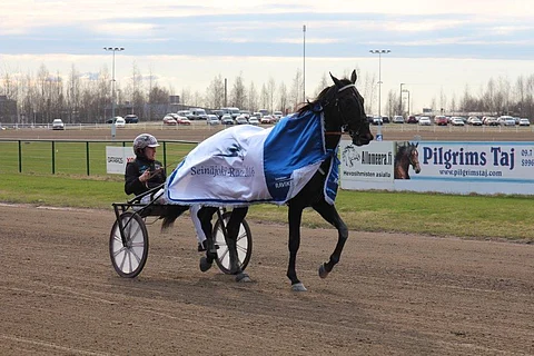 Seinäjoen voittaja tuli jälleen Kolgjinin tallista, nyt nimi on El Mago Pellini