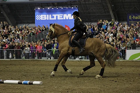 Ponuveikko ja Anu Dahlberg esiintyivät viime vuonna Hevoset-messuilla.