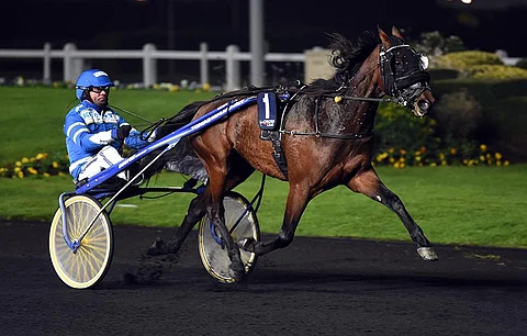 Donna di Quattron valmentaja Tomas Malmqvist on saanut Ravituomioistuimessa myönteisen päätöksen valitukseensa.