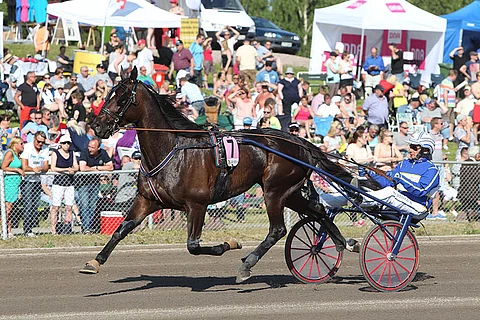 Shadow Woodland kilpailee jatkossa Pihtiputaalta käsin. Kuva: Totofoto