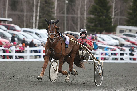 Camrin tappio nostaisi mukavasti maanantain Toto4-rivin arvoa.