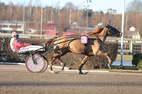 Topper hyötyy kenkien riisumisesta ratkaisevasti ja on edullinen pelikohde illan Toto5:een.