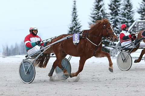 Juha-Pekka Ahonen ja Ilon Ari.