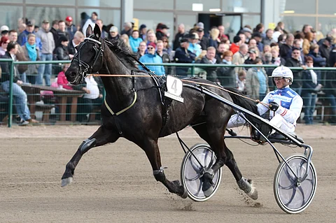 Edward Ale siirtyy valmennukseen Pirjo Vauhkoselle. Viime lauantain Seinäjoki-Racessa hevosta ohjasti Peter Ingves.