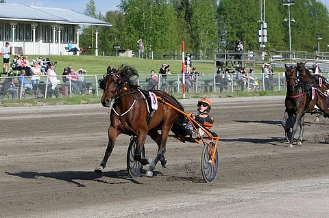Ilman kenkiä, suojia ja sekkiä ja jenkkikärryt perässä. Tommi Kylliäisen ideat ovat siivittäneet Ranch Kellyn vastustajien ulottumattomiin.