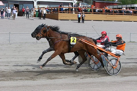 Capo The Fly ja Frank The Tank eivät saaneet eroa välilleen. Taustan upouudelta terassilta on hyvä seurata loppusuoran taisteluita.