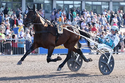 Propulsion. Kuva: Anu Leppänen