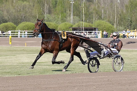 Propulsion ja Daniel Redén kävivät hakemassa Elitloppet-lippunsa Vermosta. Tässä kuva Finlandia-ajon lämmityksestä.