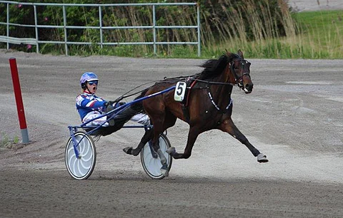 Olli Koivunen pyysi ja Ratu Royale toteutti. Tamma kääntyi loppusuoralle selvässä johdossa ja piti johtoaseman loppuun asti.