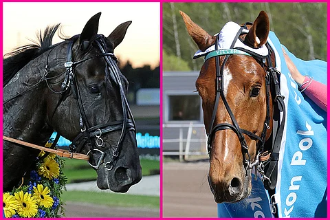 Kumman hevosen haluat nähdä tulevan keskiviikon kannessa?