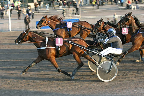 Kiikku's Chance ja Juha Utala hallitsivat Tammaderbyä maaliin saakka, vaikka Forsberg kirikin komeasti Teemu Keskitalon kannustamana.