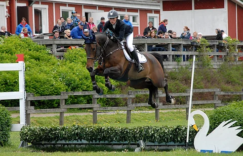 Susanna Granroth ja Anatevka Ypäjällä alkukesästä.