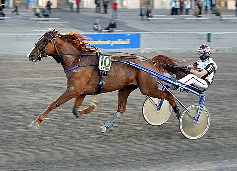 Valtavan moottorin omaava El Dirtyman on ravatessaan tiukasti kiinni Toto65-pelin avauskohteen voitossa.