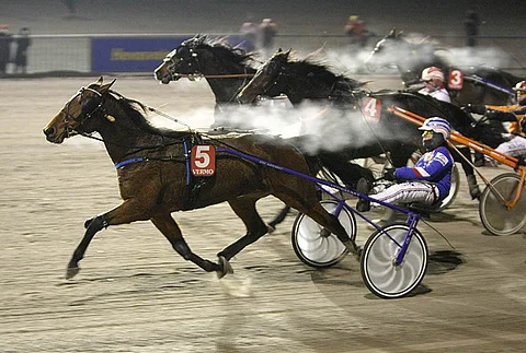 Exdell on mahdollinen yllättäjä Metsämäessä.