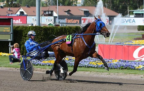Timoko