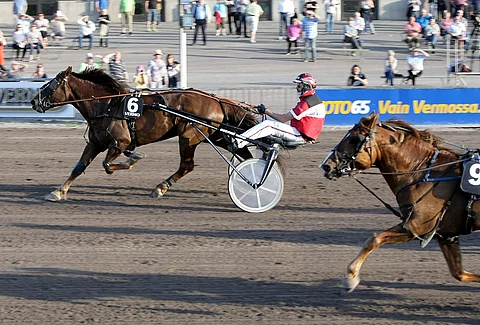 Mika Forssin kova meno ajajaliigan kärjessä pitää. Tässä Saara Purasen valmentama V.G. Vipori antaa vauhdin hurmaa Vermon avainohjastajalle.