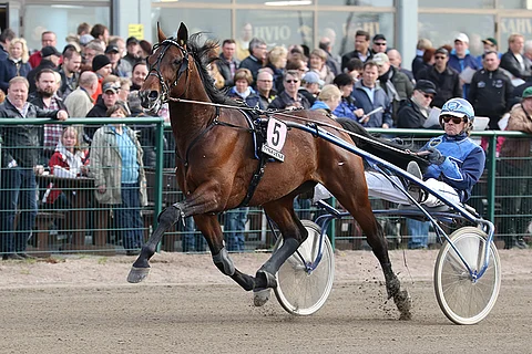 Jontte Boy on Amerikkalaiseen iltaan oiva varma.