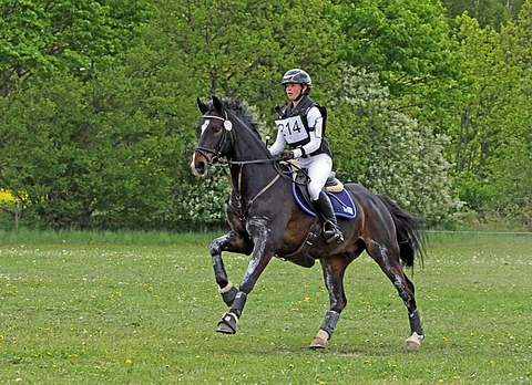 Eirin Losvik ja FWB Daffodil's Flamenco vauhdissa jälleen.