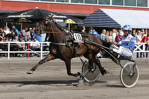 Fast Motioniin luotetaan ruunan kotiradalla.