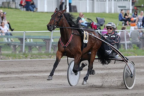 Gorgeous Boko voitti E3-karsintansa Bergsåkerissa. Arkistokuva: Anu Leppänen.